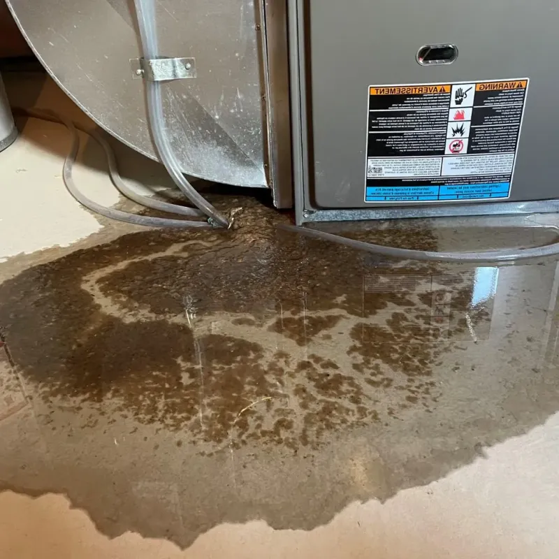 Pipe Burst and Leak Restoration in Parcelas Nuevas, PR