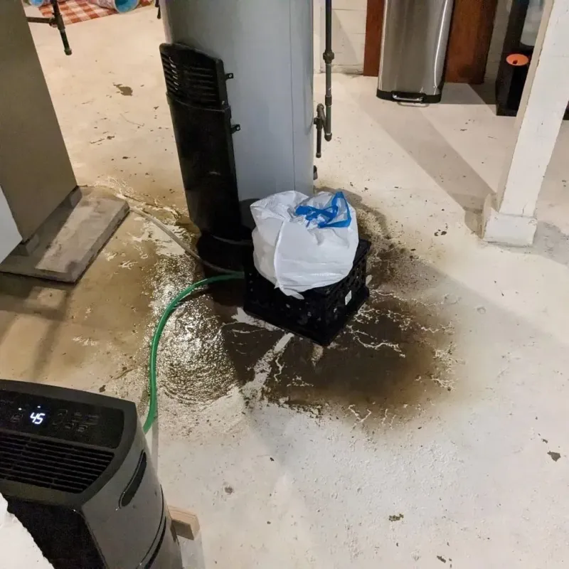 Sewage Backup Cleanup Service in Parcelas Nuevas, PR